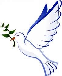 Obituary of Evelyn Cacchioli