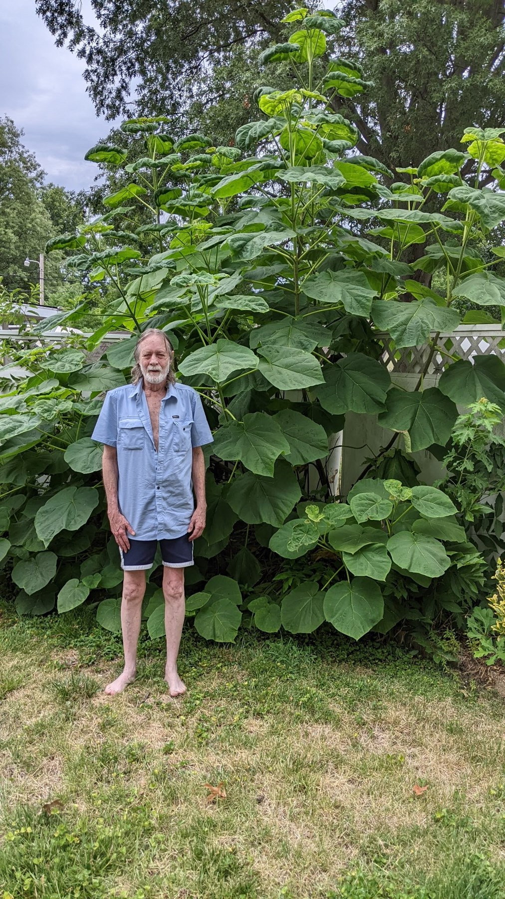 Obituary of David John Dumstorff