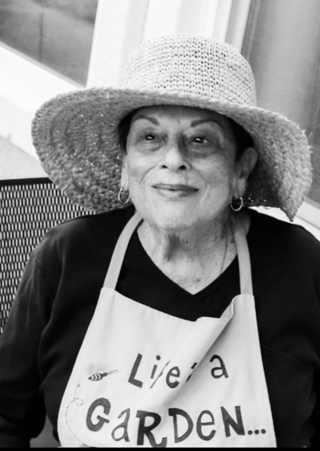 Obituary of Donna Gail Cohen