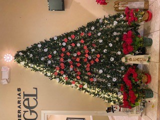 Obituary of Tree of Remembrance 2020