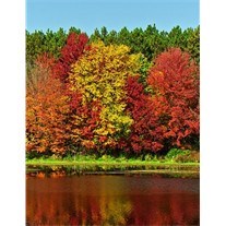 Obituary of Terri Lynn Grinwis (Kelley)