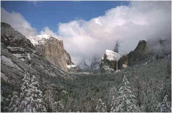 Obituary of Troyce A. Walker