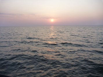 Obituary of Stephen Leavey
