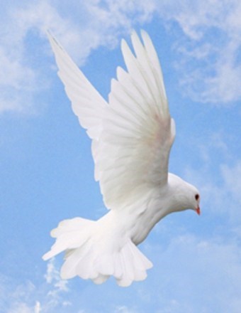 Obituary of Loretta Meredith Turner