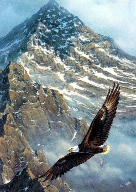 Obituary of Vincent A Leo Sr.