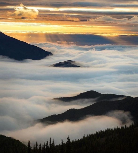 Obituary of Robert Duewayne Dobson