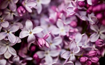 Obituary of Lina Esther Blank