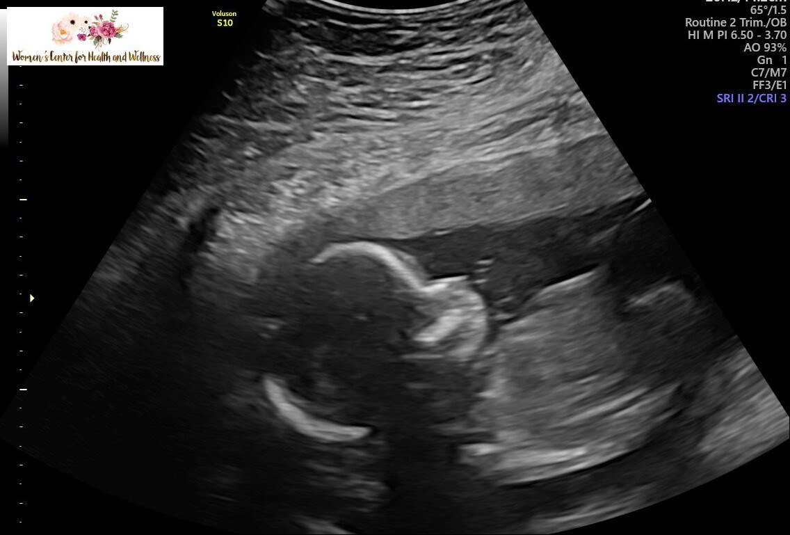 Obituary of Cooper Brian McCain