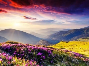 Obituary of Leon Gene Smith