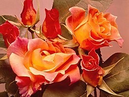 Obituary of Thelma Cleopatra Dotson