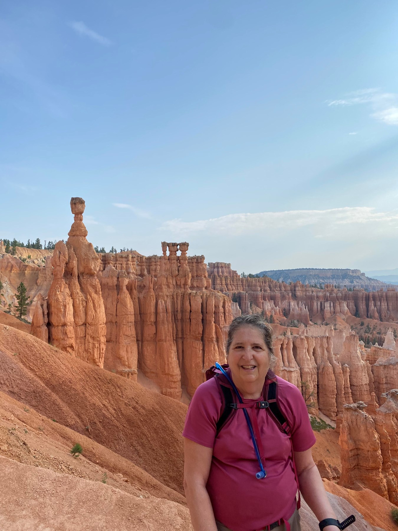 Obituary of Ellen Patricia Merkin