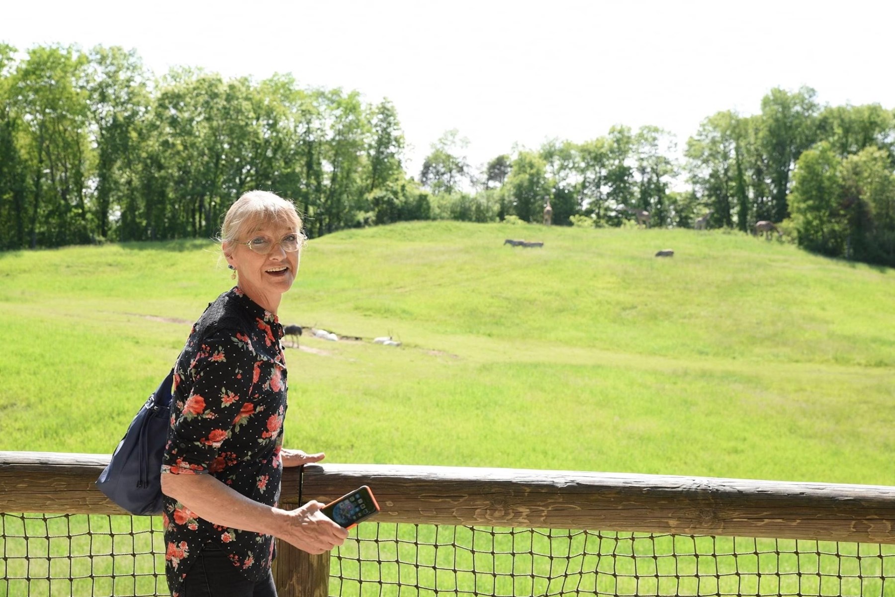 Avis de décès de Linda Powell