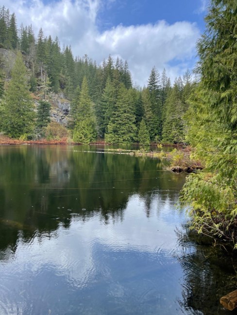 Obituary of Lonnie Krege Berardo