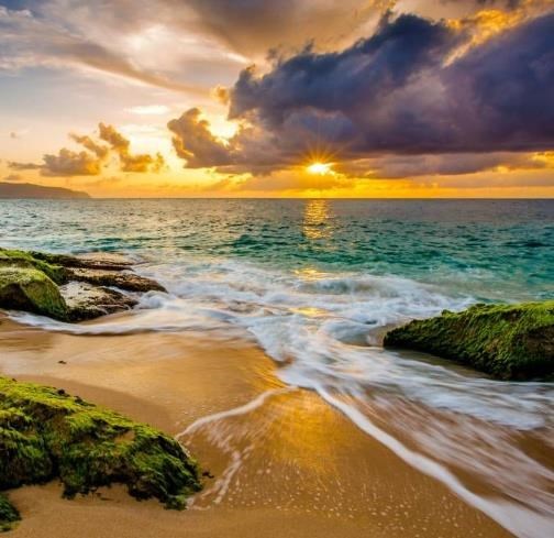 Obituario de Andres Alaniz Vega