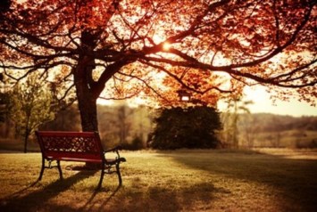 Obituary of Bertrand Leonard Perera