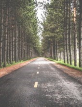 Obituary of Alberta Black Mason Sutherland