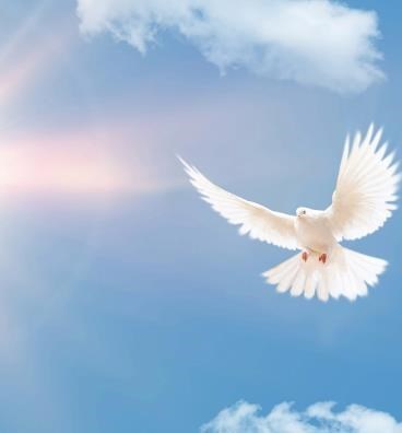 Obituary of Richard Arnold Larson