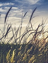 Obituary of Jay Cannon