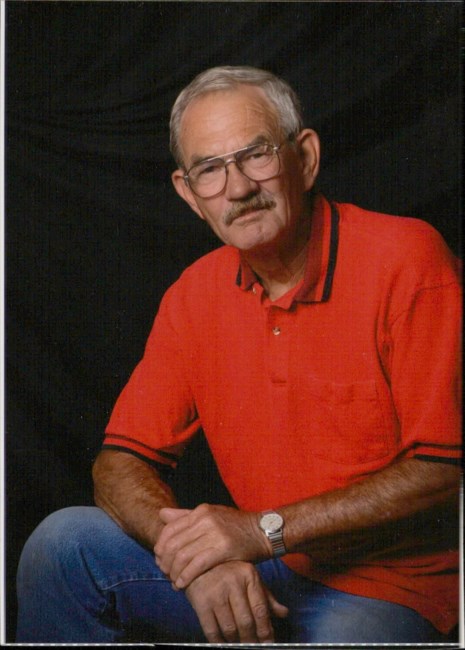 Johnny Perkins Obituary Pell City Al