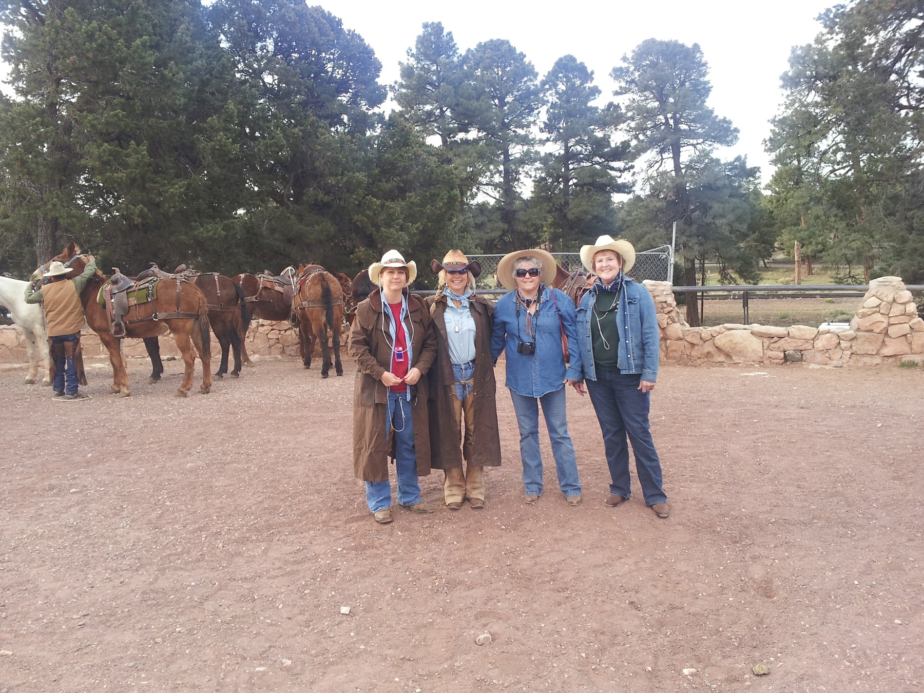 Obituary of Donna Jean Morris Hotchkiss