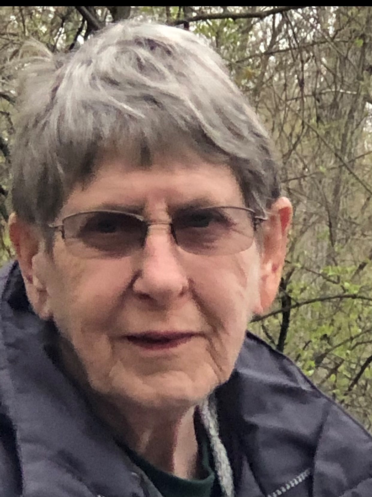 Marilyn Pickens Obituary DeWitt, MI