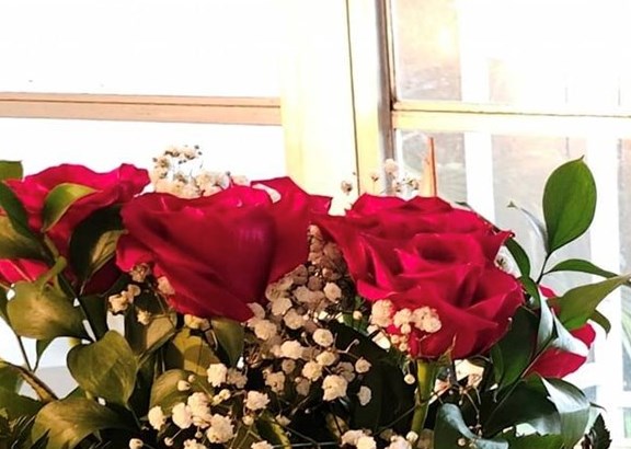 Cecilia Rios Obituary - Sarasota, FL