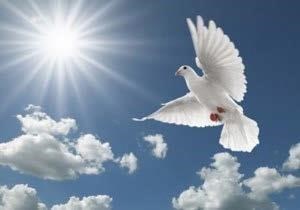 Obituary of Hilda Julia Reyes