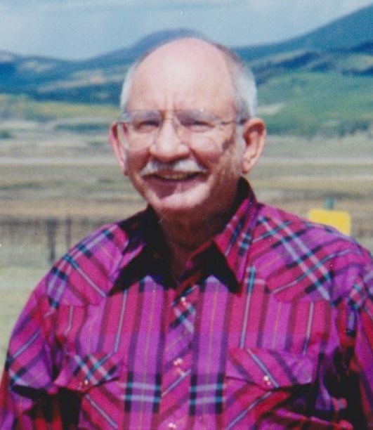 Obituary of Willis Walter Stam