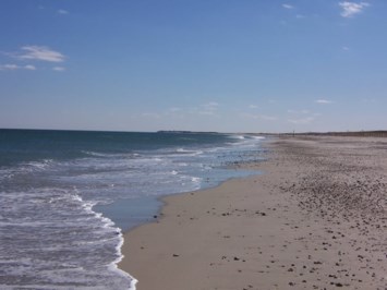 Obituary of James E. Doughty