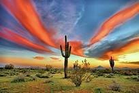 Obituary of Ronnie Allen Kennedy