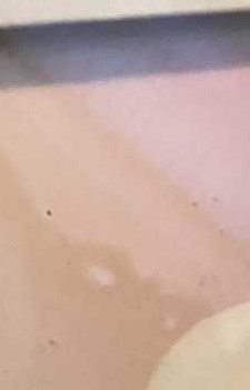 Ramon Colon Obituary - New York, NY