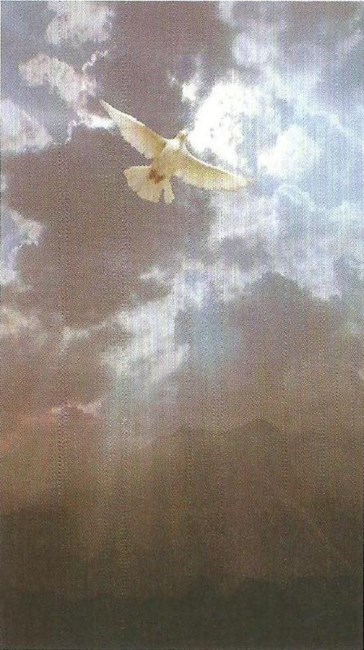 Obituary of Amedio De Benedictis