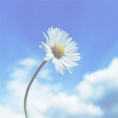 Obituary of Patti Kaminsky