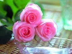 Obituary of Joan Elizabeth Corley