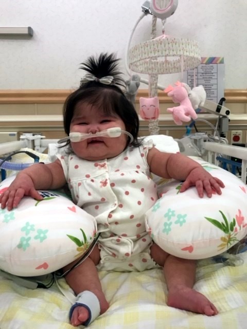 Obituary of Isabella Ruby Sanchez