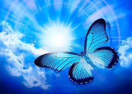 Obituary of Patricia Ruth Difranco