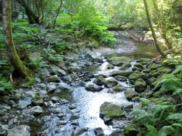 Obituary of Mr. William Gary Thomas