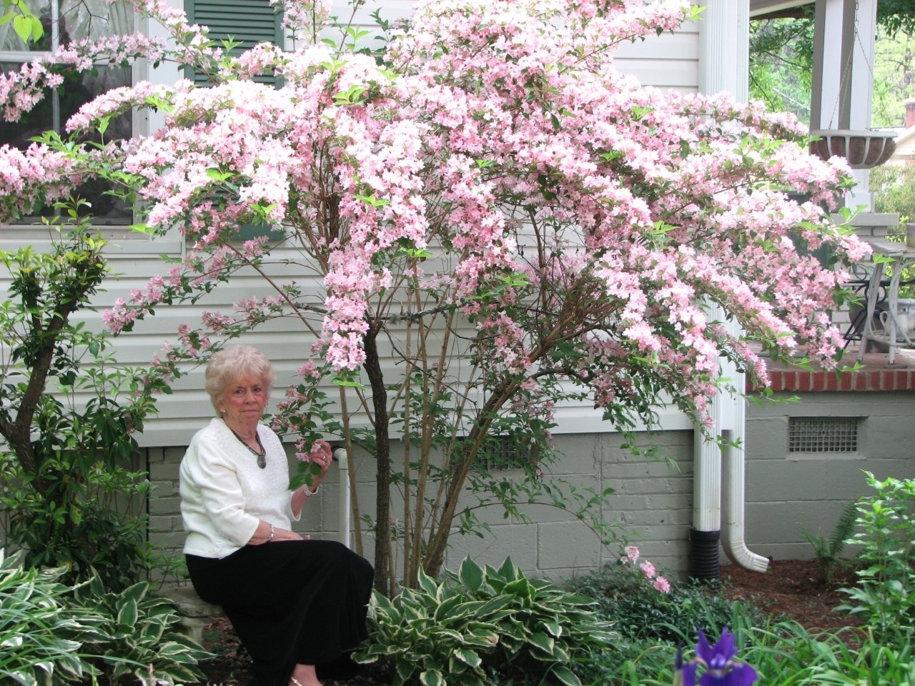 Obituary of Ruth "Norma" Chapman Aiken