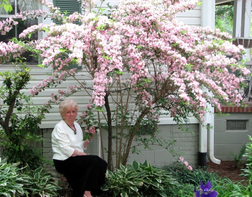 Obituary of Ruth "Norma" Chapman Aiken