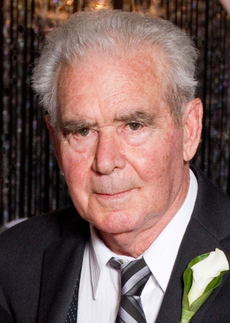 Obituary of Mr. Giorgio Biagi