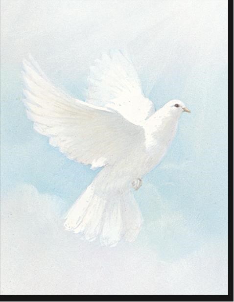 Obituario de Cecilia Luciano