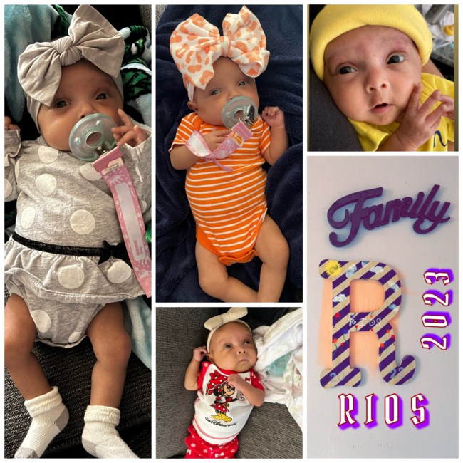 Obituary of Aannalisa Emily Rios