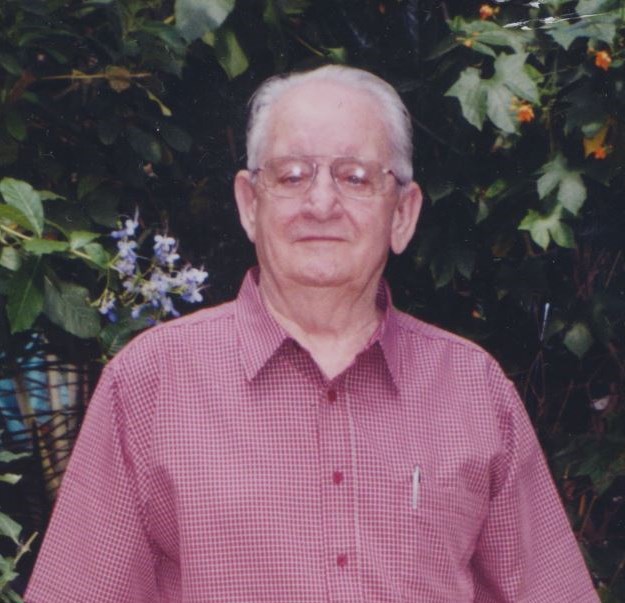 Obituary of Raymond "Ray" Earl Lins, Sr.