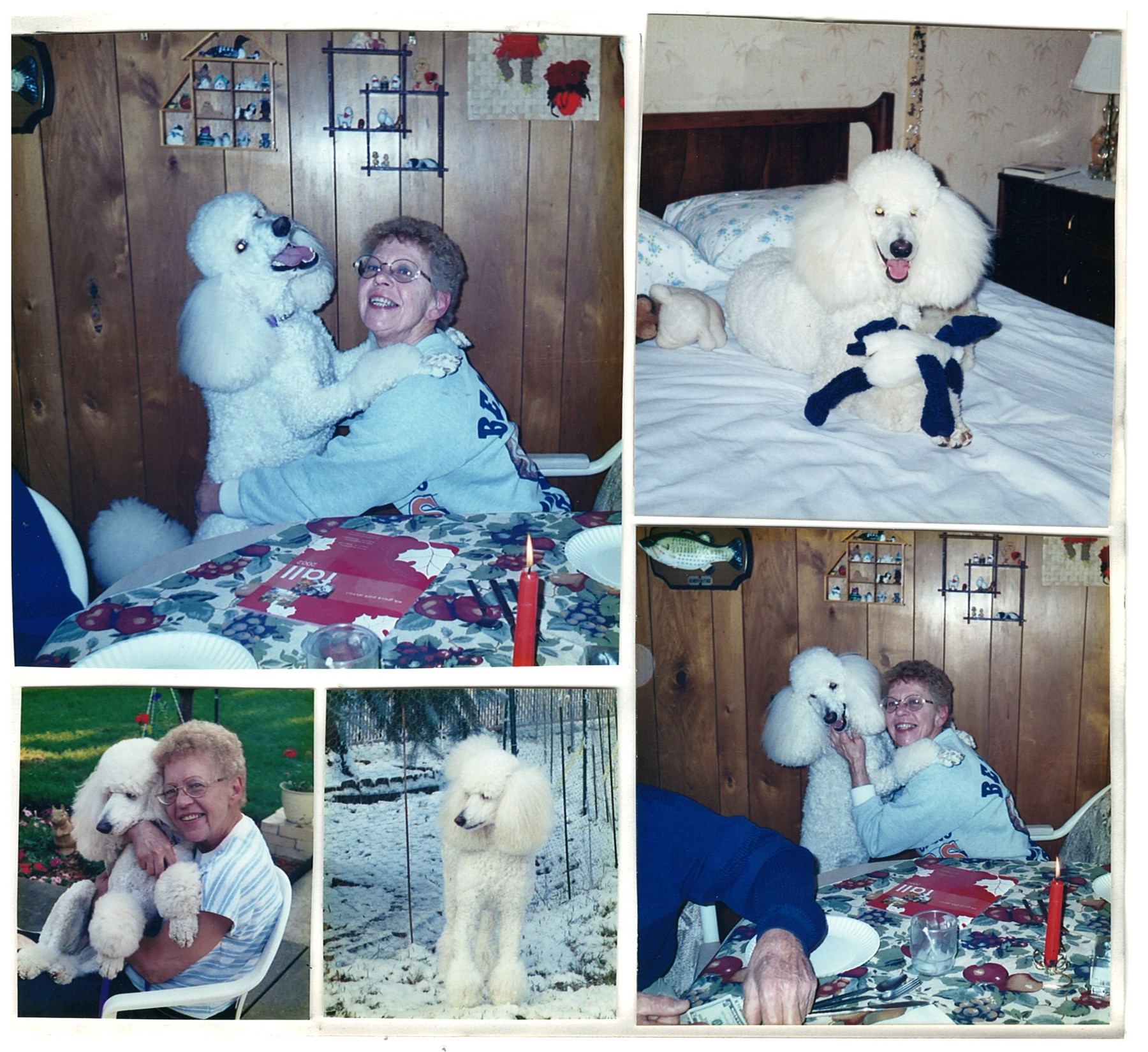 Obituary of Darlyn Joy Haussmann