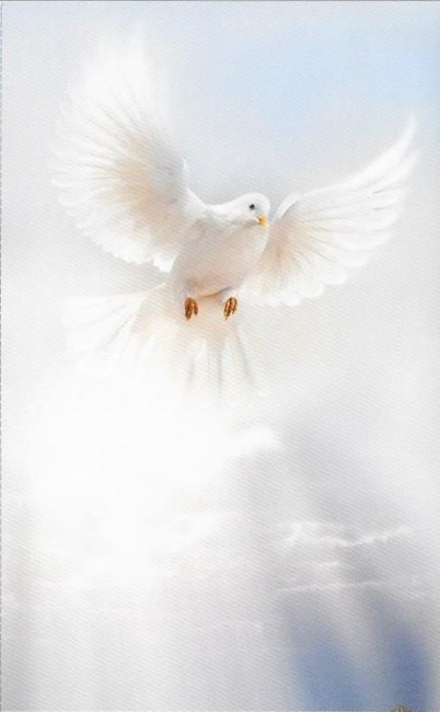 Obituary of Carmen Kohly Calzada