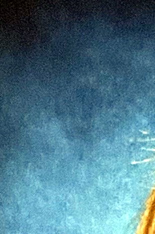 Courtney Graff Obituary Castle Rock CO courtney-graff-obituary-castle-rock-co