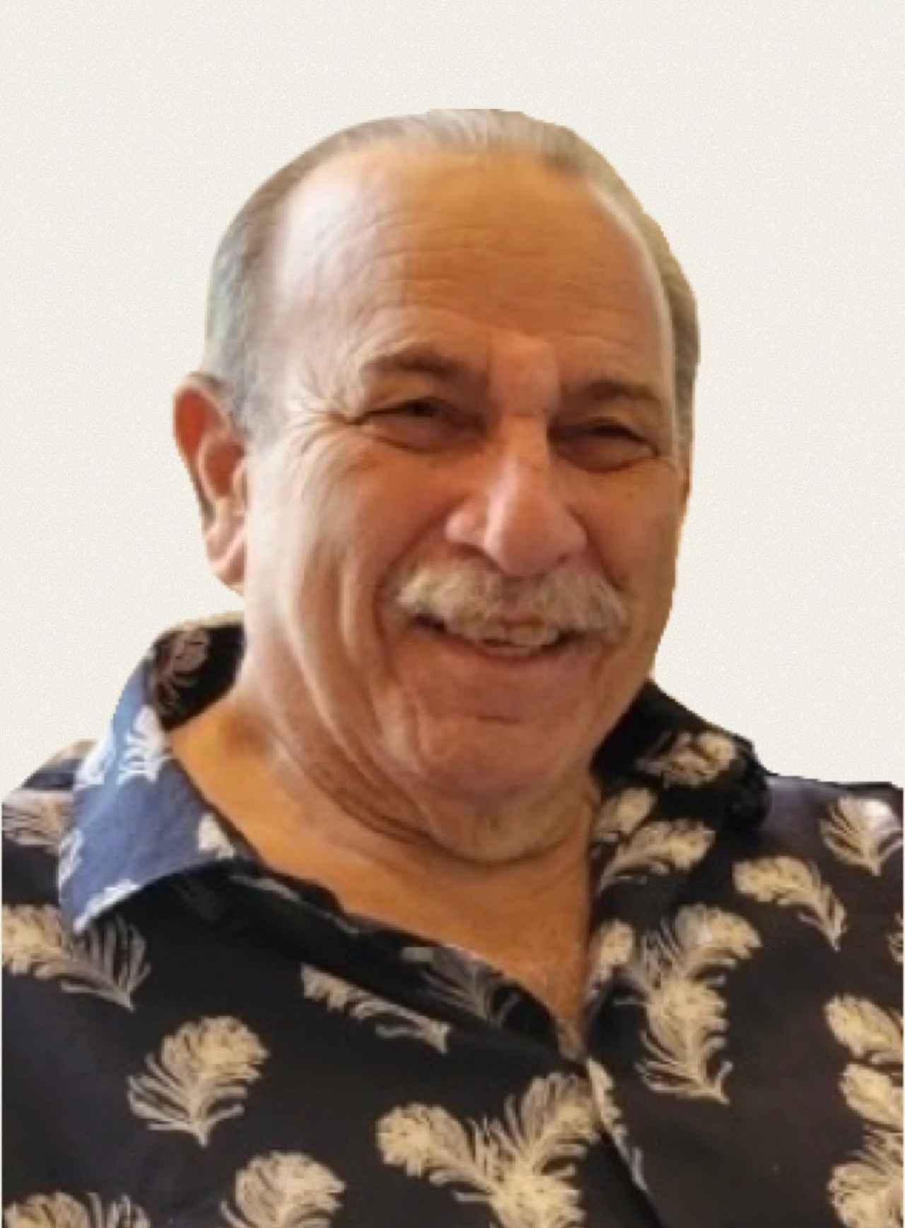 Anthony Rao Obituary - Dundas, ON