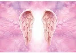 Obituary of Mia Silva