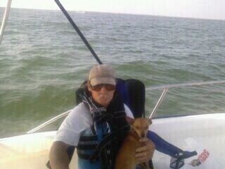 Obituary of William Alfred Ladnier Sr.