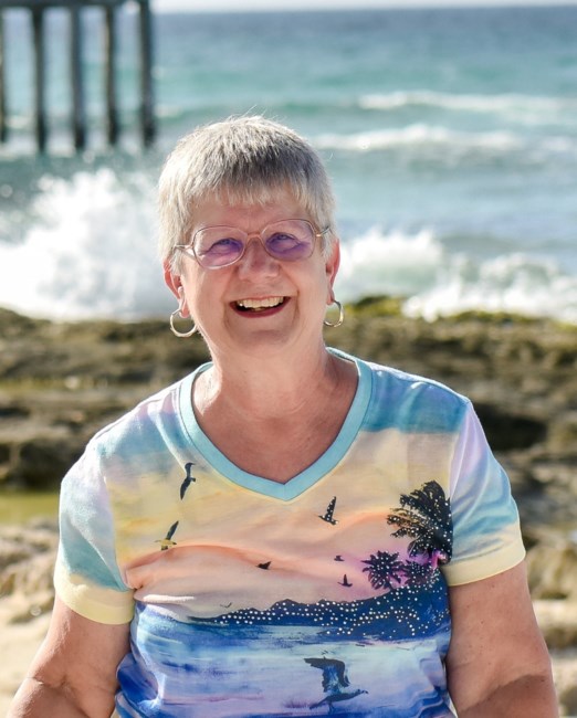 Obituary of Linnea Ann Carlin